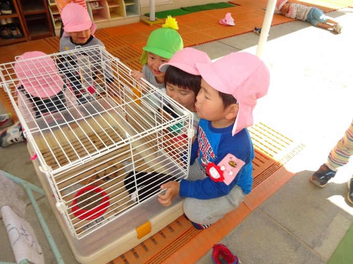 こひつじぐみさんが始まりました!!
