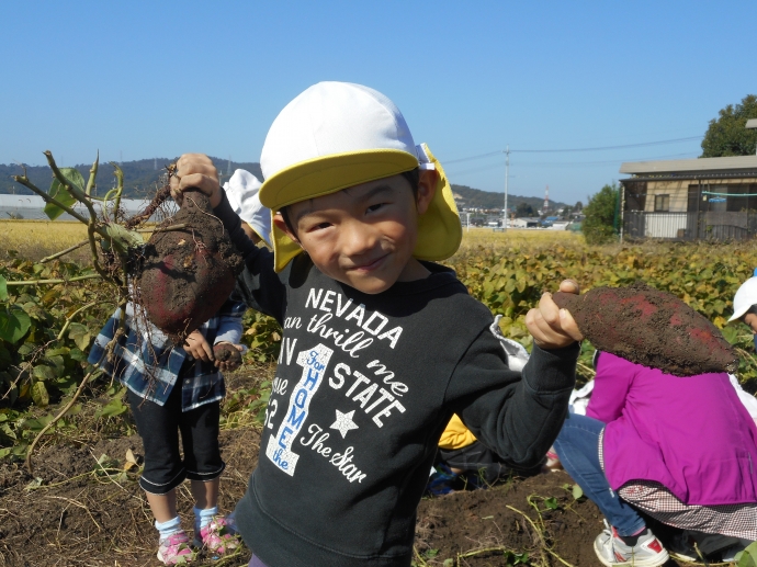 年長さん、お芋ほりに行きました！